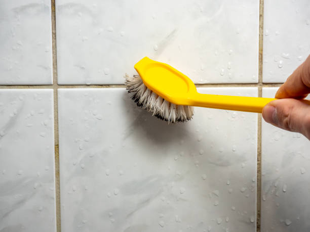 Best Mold Removal Near Me  in Huntsville, AR