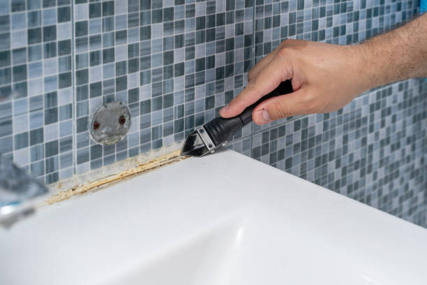 Best Mold Cleaning Services  in Huntsville, AR